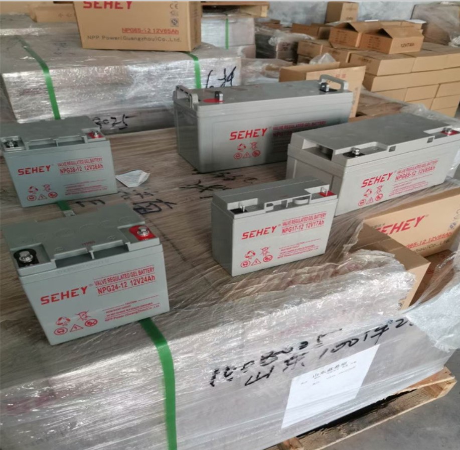 SEHEY蓄电池 UPS/EPS直流屏蓄电池 西力蓄电池