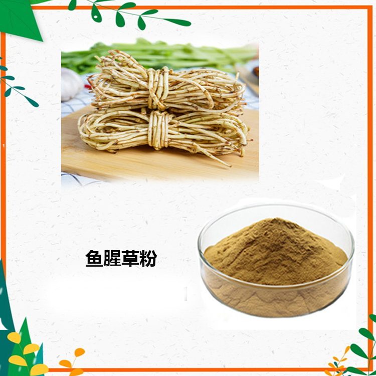 鱼腥草提取物 10:1 水提 鱼腥草素纳 98% 鱼腥草粉