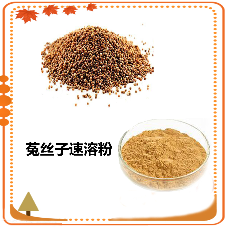 菟丝子提取物 10;1 水提 菟丝子皂苷 20% 菟丝子浸膏