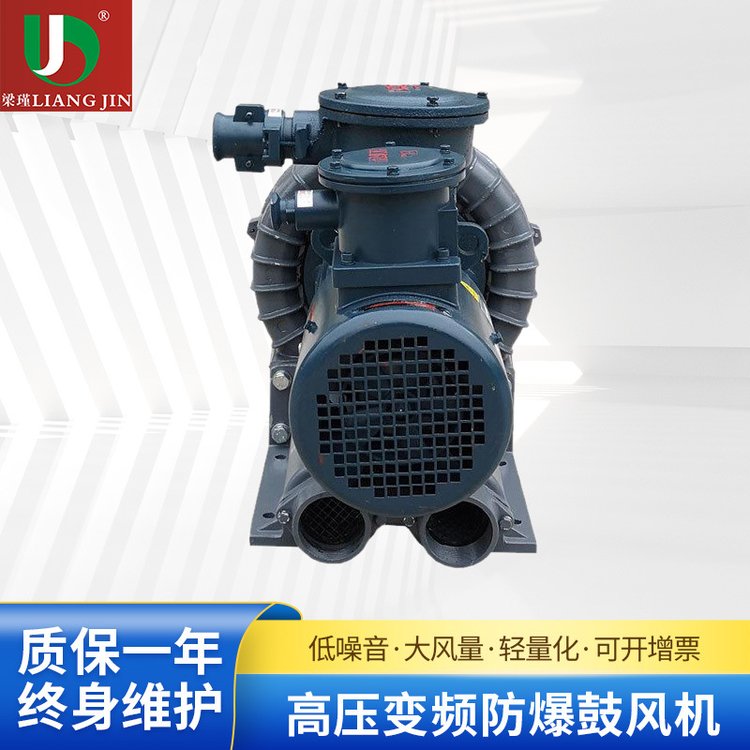 梁瑾EX变频防爆鼓风机EX-G-2B密封型高压隔爆风机