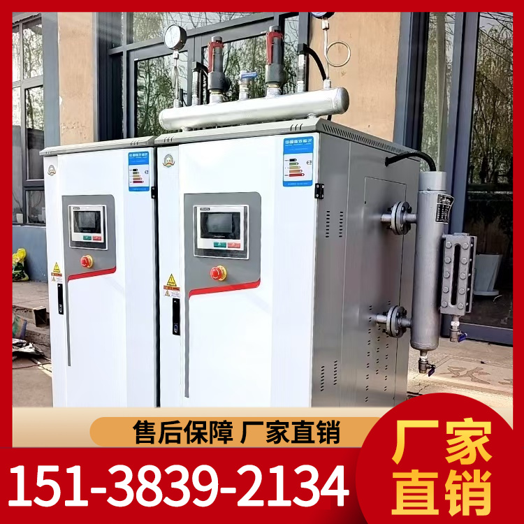 电加热蒸汽发生器，电蒸汽发生器 力能锅炉供应充足货源 厂家批发