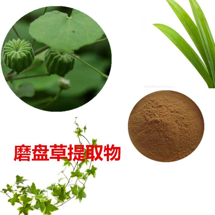磨盘草提取物 10:1 水提 多规格比例 磨盘草浸膏 1.15比重