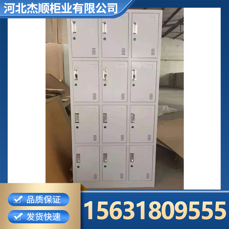 储物柜 工厂储物柜 多层置物层板可调节 全国发货