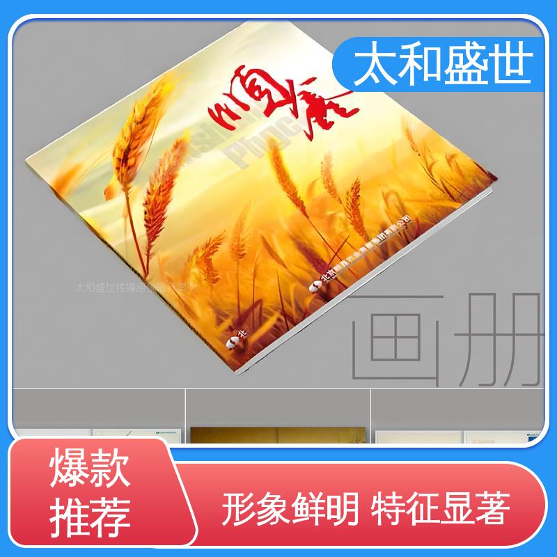 太和盛世 公司简介设计 传递视觉艺术 风格多样