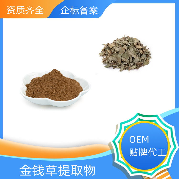 草提取物 速溶粉 浓缩粉 10：1 20：1可定制 沃特莱斯生物