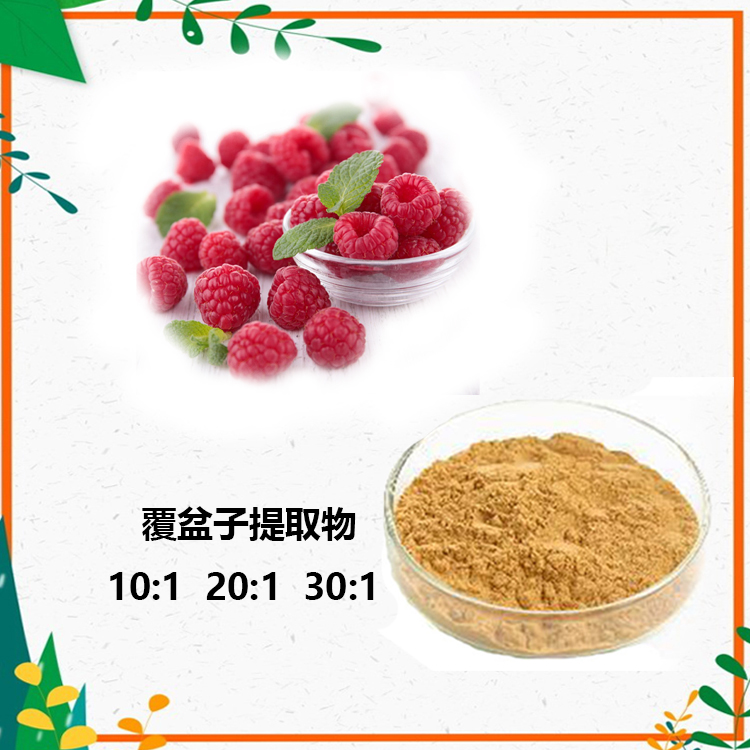 覆盆子提取物 10:1 水提 覆盆子粉 覆盆子黄酮 20%