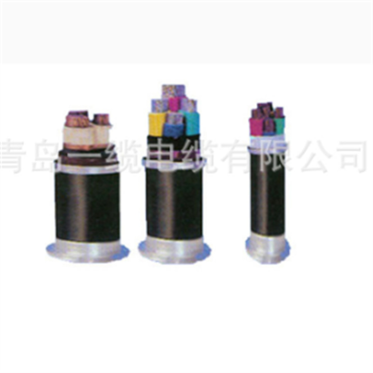 电缆KVVP22 专业厂家