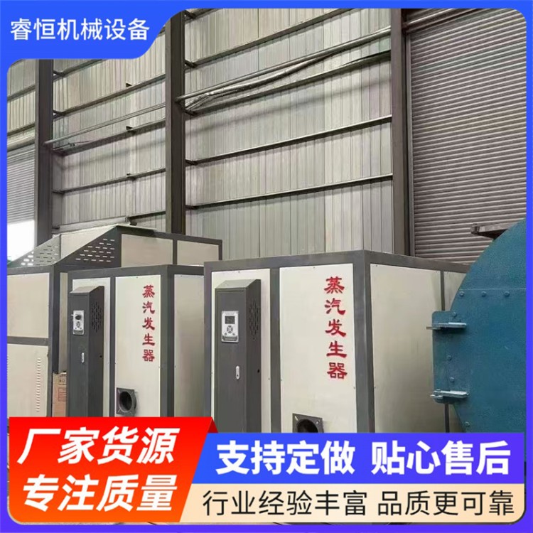 燃气蒸汽发生器 节能减碳 高效过滤 可定制