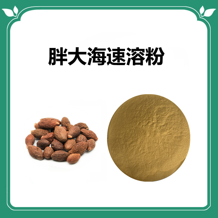 胖大海提取物  六盘韵生物 果蔬粉 质量稳定 粉末细腻疏松