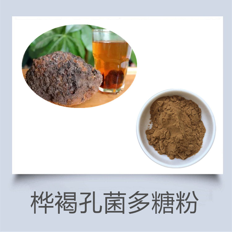 桦褐孔菌提取物 白桦茸多糖 提供外检 有小样