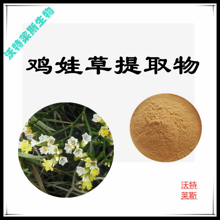 鸡娃草提取物 10:1 水提 多规格比例 鸡娃草浸膏 1.15比重