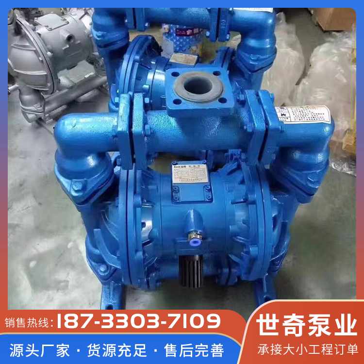 隔膜泵 无堵塞自吸循环 气动隔膜泵 应用范围广