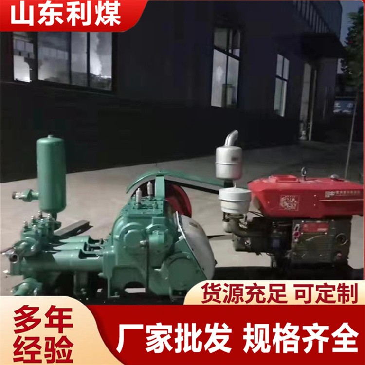 BW320注浆机 高压水泥浆灌浆机手动式操作简单携带方便