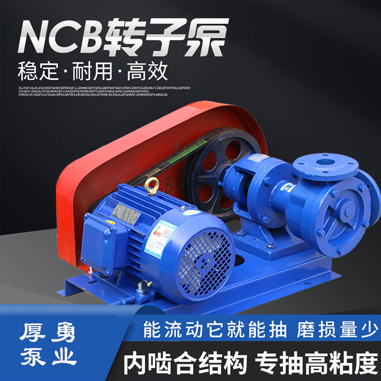 NCB内齿轮泵 高粘度内齿泵 NCB食品化工油 内啮合齿轮油泵 高粘度抽油泵  浆液输送泵