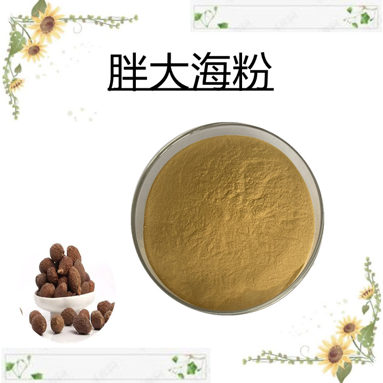 胖大海粉   含多种营养成分  国标生产   粉末流动性好     全水溶