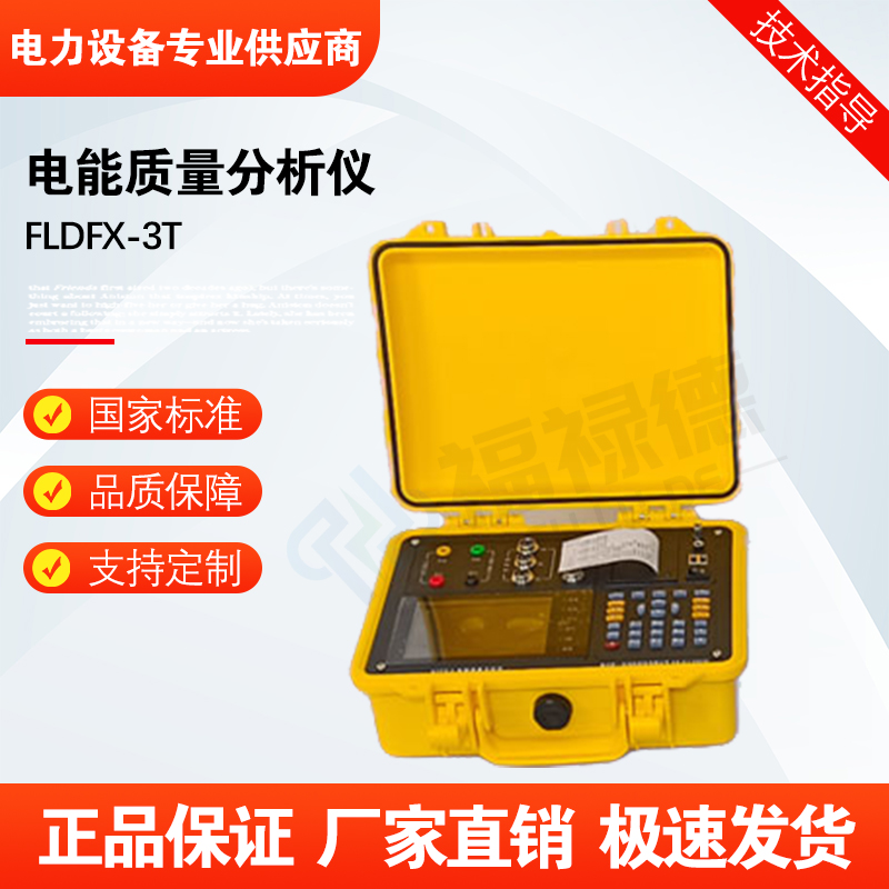 福禄德FLDFX-3T电能质量分析仪中文三相多功能电力参数设备可定制