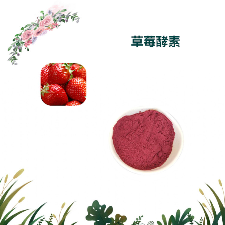 沃特莱斯生物 草莓酵素粉 草莓粉 多规格订制 厂家直供