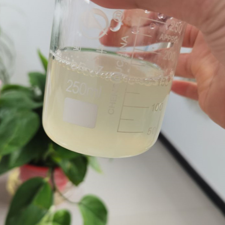 斯诺特生物 山药提取物 水溶山药粉 固体饮料代餐粉