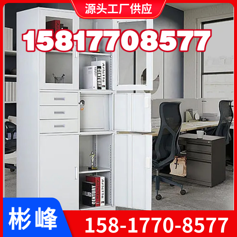 工厂文件柜铁质订做玻璃推拉门大器械柜欧式铁柜谢岗牌