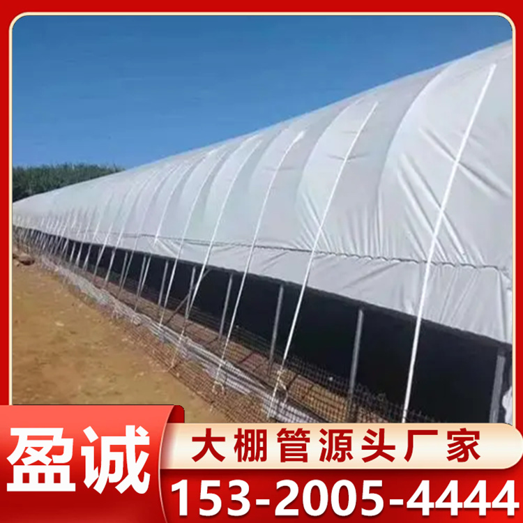 大棚管农用新型大棚国标养殖棚花卉棚管材可定制