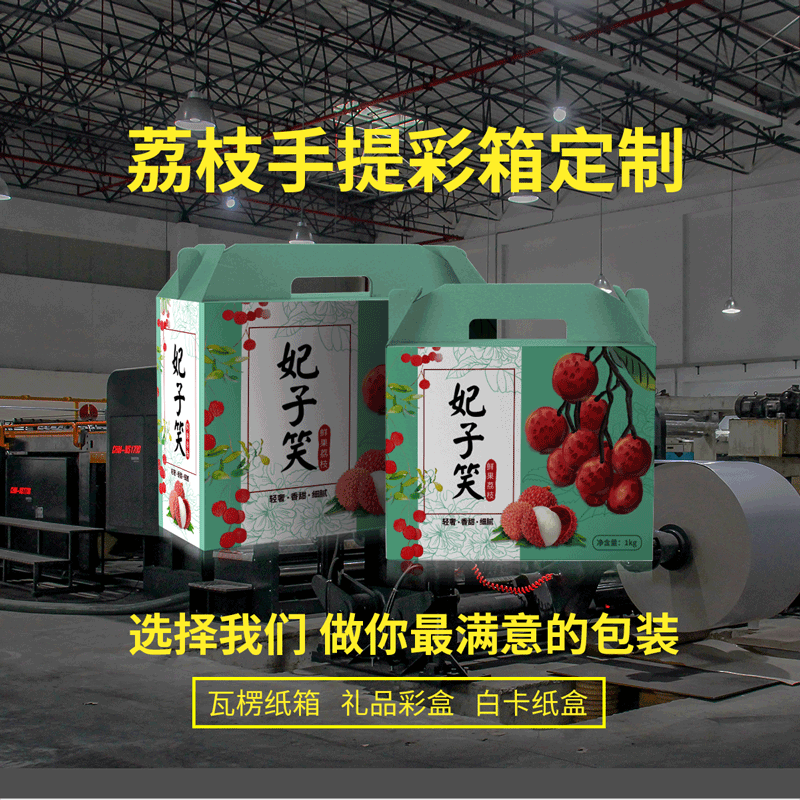 荔枝龙眼柑橘水果包装手提彩盒纸箱定制设计生产找力嘉