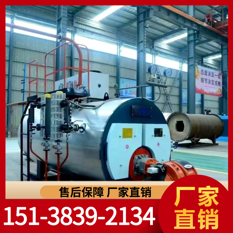 蒸汽锅炉 燃气锅炉 厂家直销 力能锅炉现货批发销售