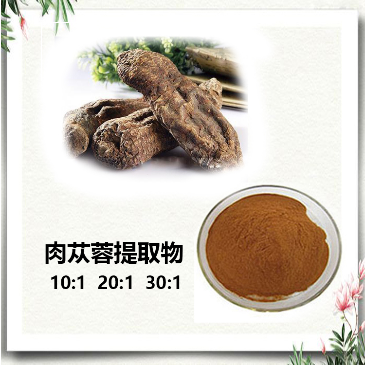 肉苁蓉提取物 10:1 水提 肉苁蓉粉 肉苁蓉多肽 80%