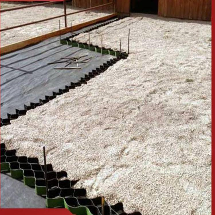 三维植被网 园林绿化坡面用立体保护网 em3防护网格