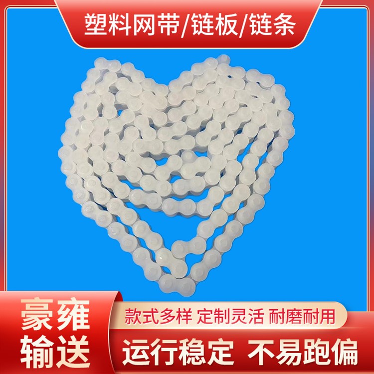 PVDF链条 耐强酸碱 强腐蚀链条 08APVDF链条