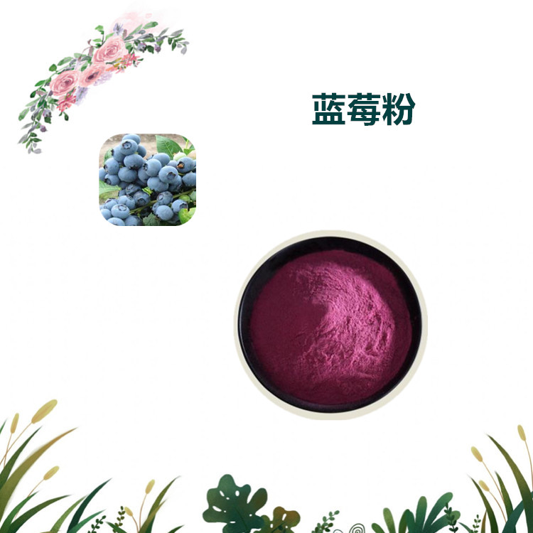 沃特莱斯生物 蓝莓粉 水溶性粉末 蓝莓原粉 1公斤起订 可寄样