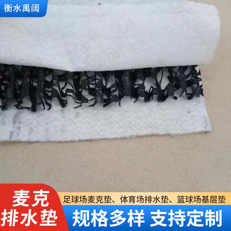 供应W型排水网垫 复合波形渗排水垫 聚丙烯材质 耐酸碱