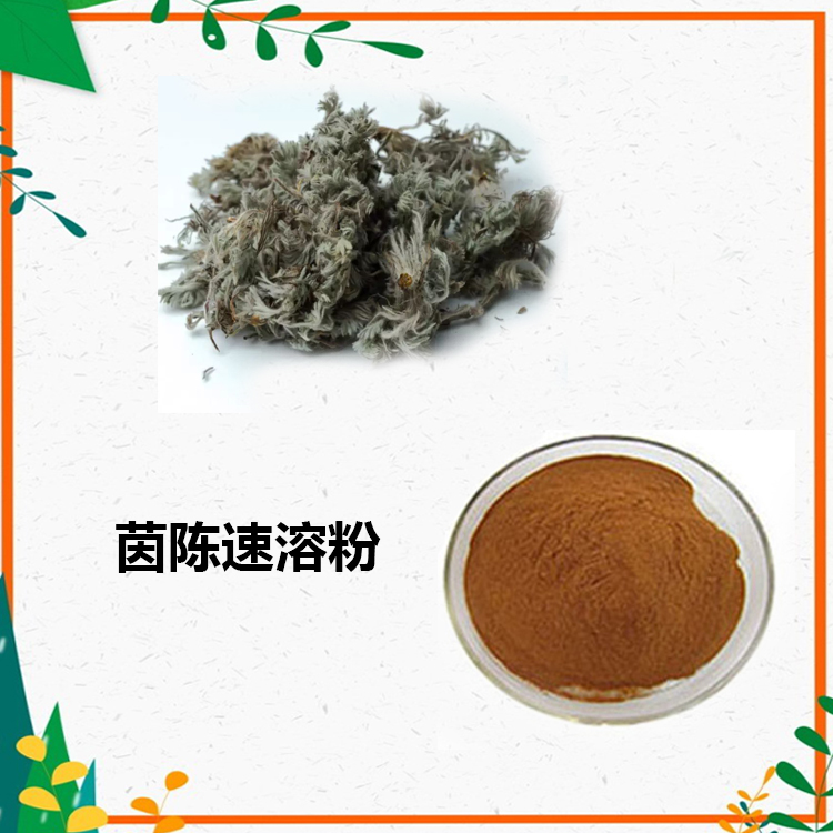 茵陈提取物 10:1 水提 茵陈浸膏 茵陈粉 茵陈提取液