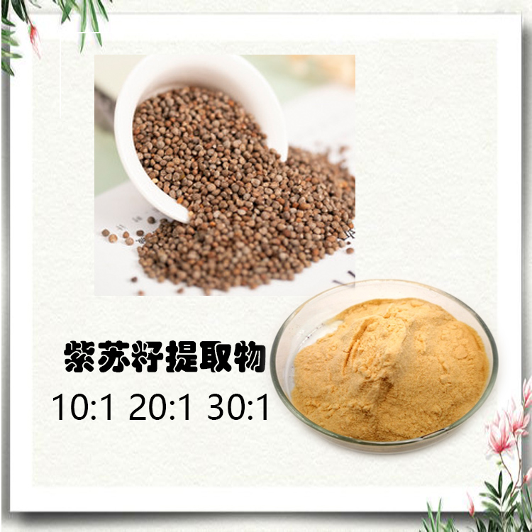 紫苏籽提取物 10:1 水提 多规格 紫苏籽粉 紫苏籽浸膏