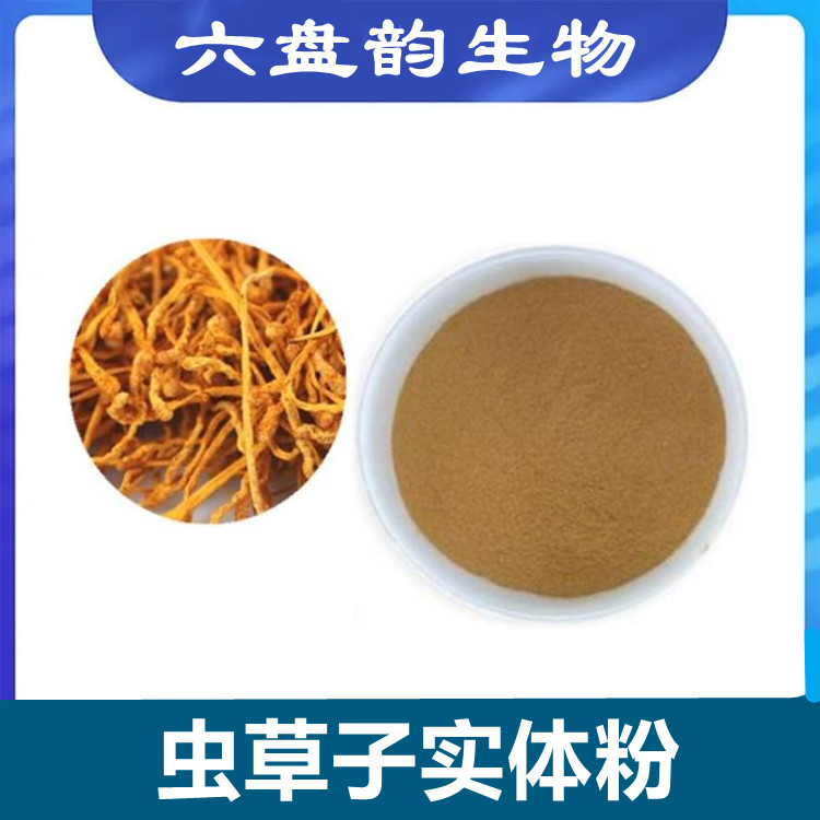 虫草子实体粉 六盘韵生物 多种含量规格 支持定制 全水溶现货