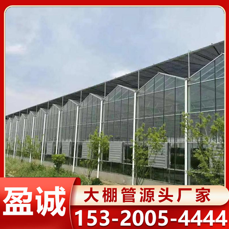 连栋玻璃温室大棚建造 形式美观大方 温室工程用