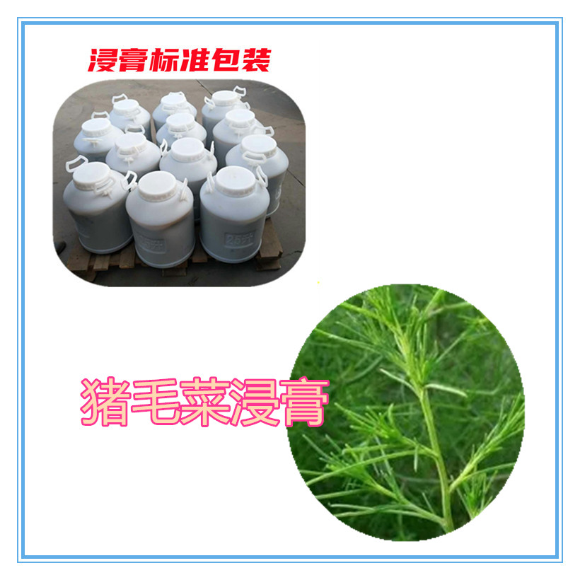 猪毛菜提取物 10:1 水提 多规格比例 猪毛菜粉 猪毛菜浸膏