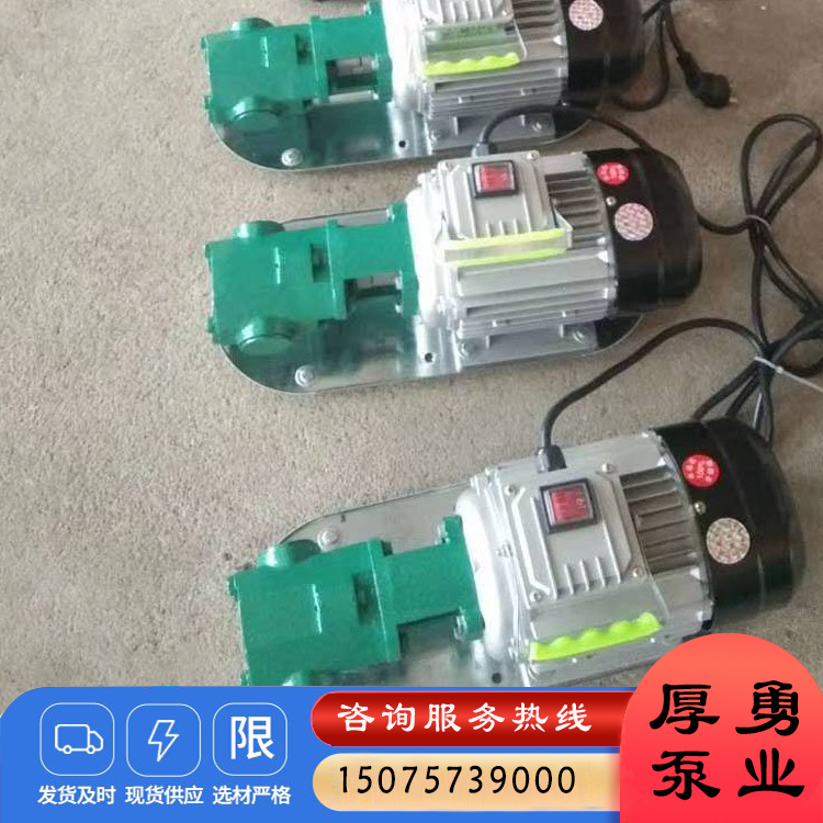 手提式齿轮泵 便携式泵 小流量泵 移动式齿轮泵