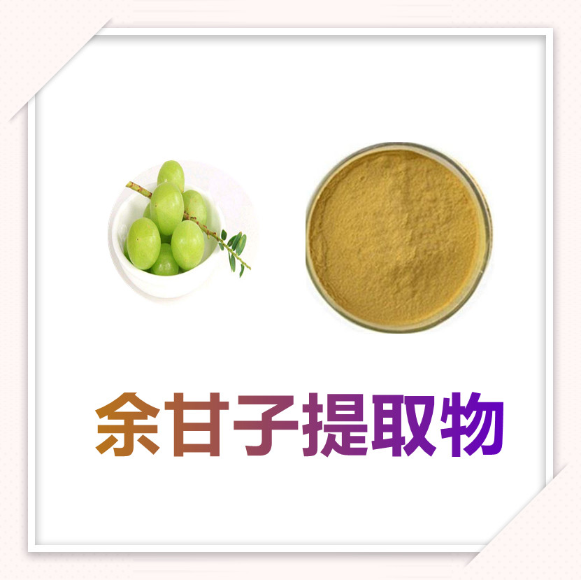 余甘子提取物 粉末细腻 含多种营养成分 固体饮料 质量稳定  全水溶
