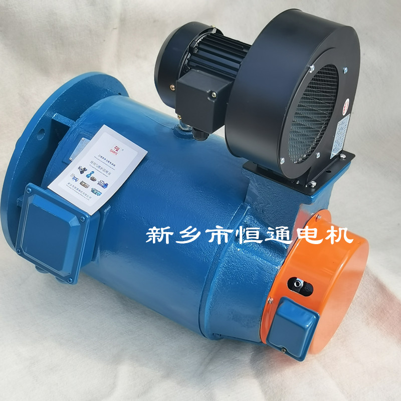 防摇摆专用电动机  源头厂家  质量稳定
