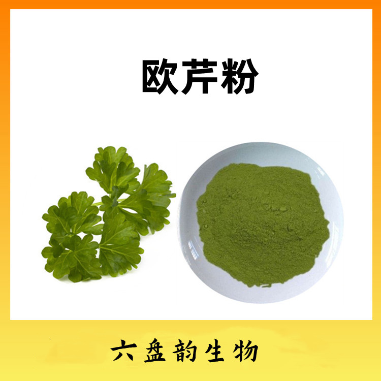 欧芹粉  六盘韵生物 采用喷雾干燥技术 三遍提取浓缩而成