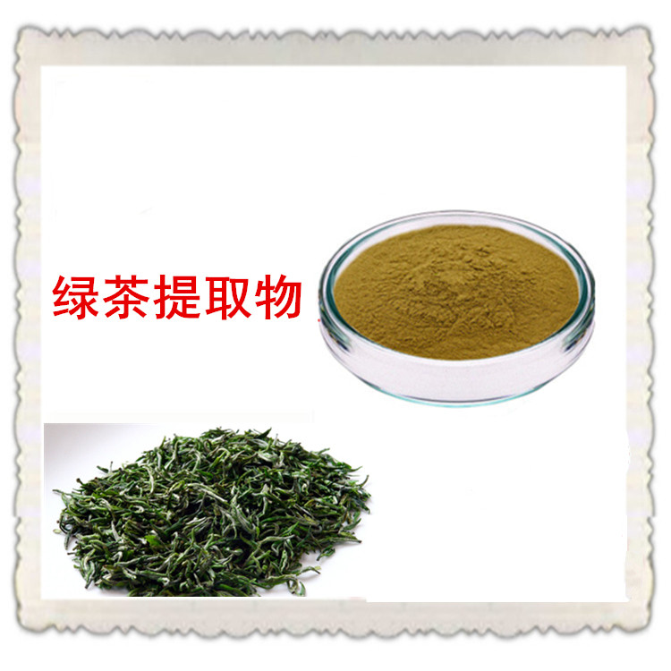 绿茶提取物 茶多酚含量 20:1浓缩 可来料加工 规格全