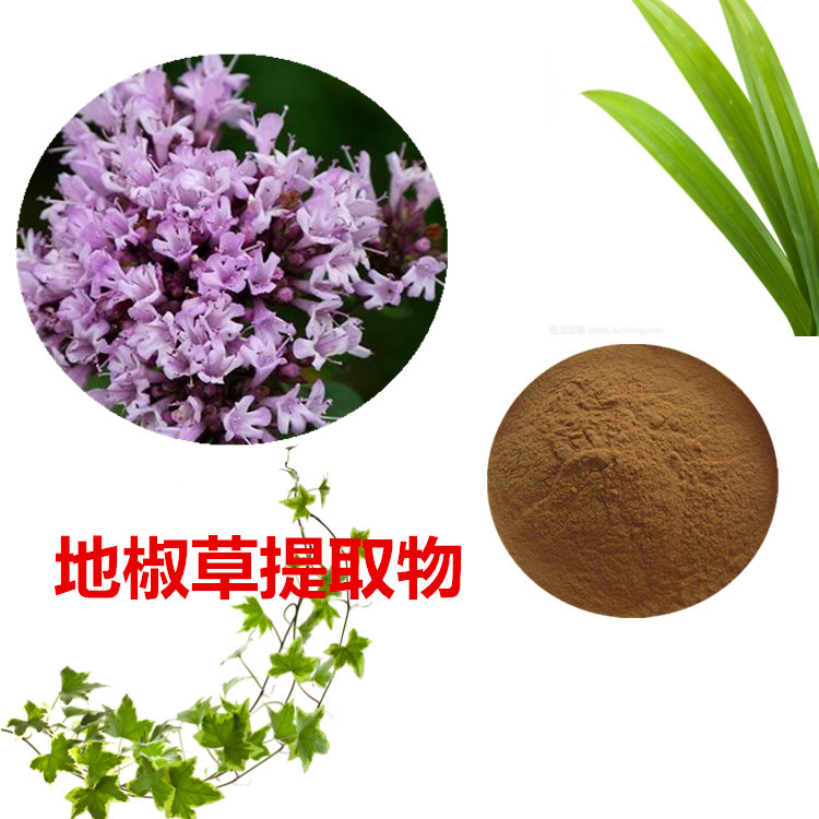 黄桃粉 99% 黄桃膳食纤维 黄桃速溶粉 黄桃提取液 10:1