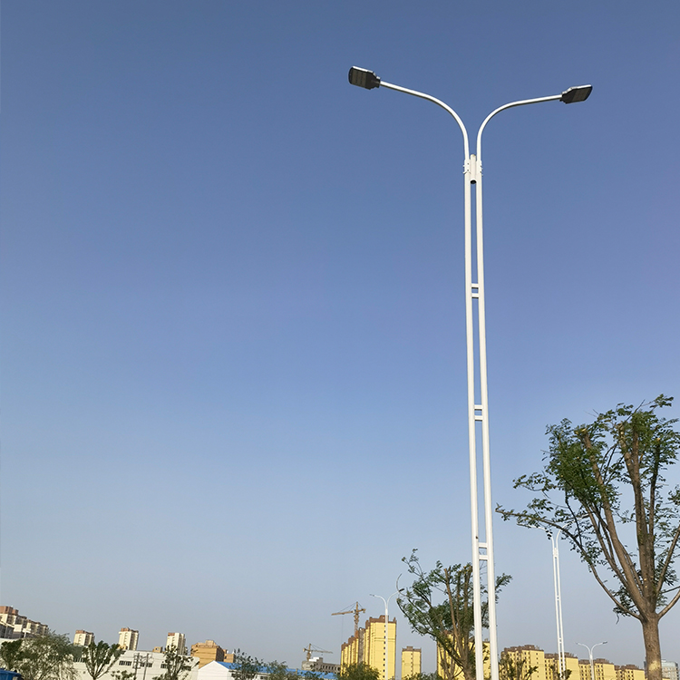 广场景观照明市电路灯工程美丽乡村景观灯源头工厂