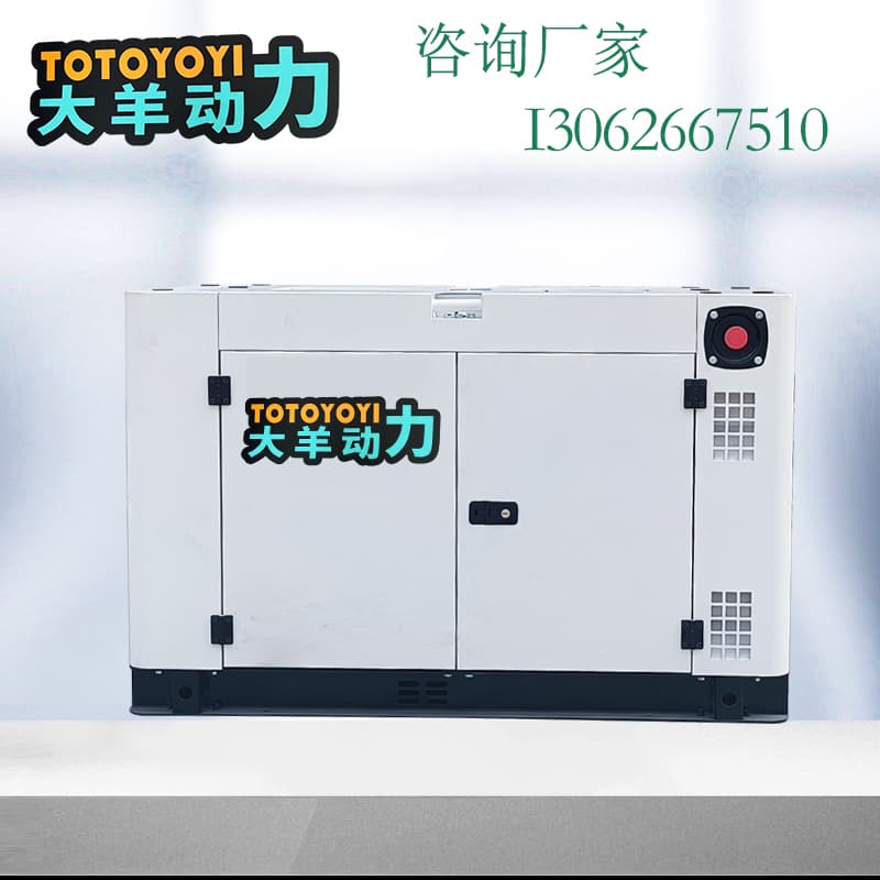大羊动力厂家  高原型12kw柴油发电机海拔4000米