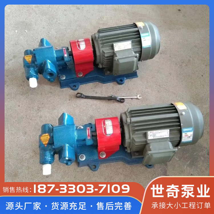 高温齿轮泵 大流量齿轮泵 无泄漏输送泵 欢迎来电咨询