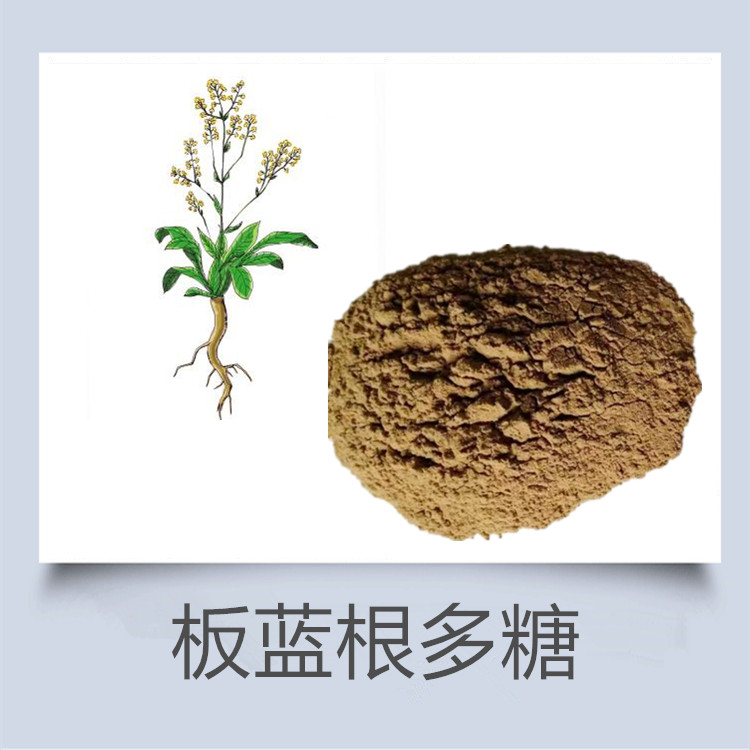 板蓝根提取物 大青叶提取物 蒲公英粉 桑白皮粉 知母提取物