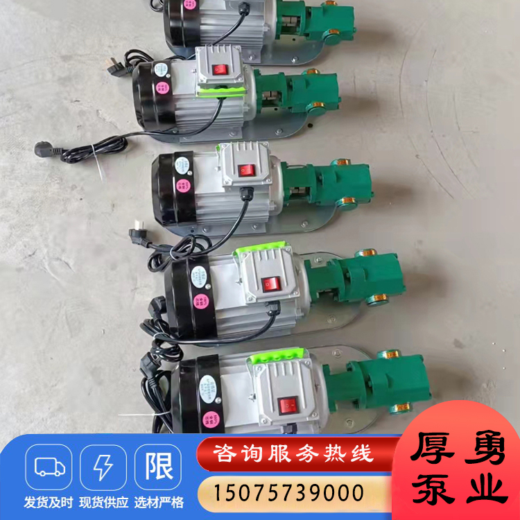 WCB手提泵 不锈钢自吸齿轮油泵 便携式柴油输送泵 支持定制