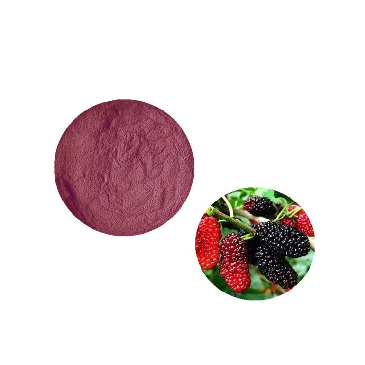 桑椹粉 可定制固体饮料压片糖果 斯诺特生物 桑葚果粉