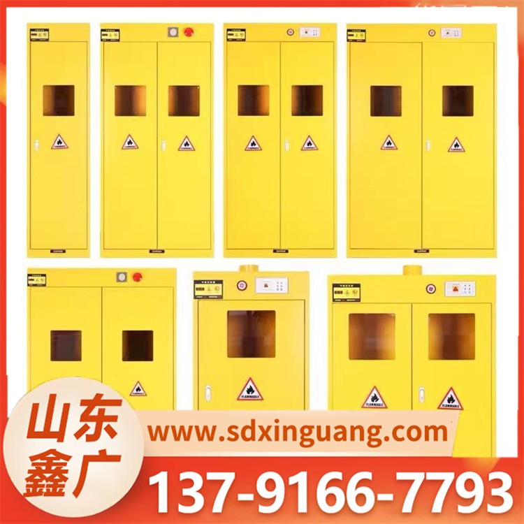 气瓶柜 科研实验室建设 经久耐用 现货速发
