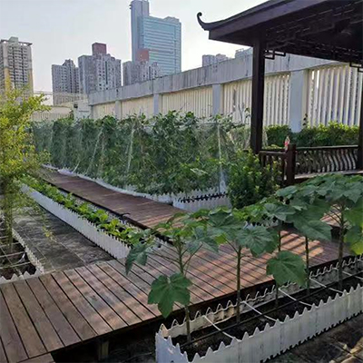 信盈有机质30%屋顶种植土轻质土通透性能良好内部中含盐量低